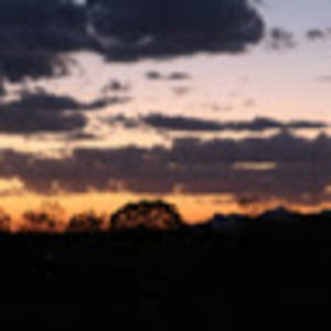 Meet your Posher, Laurie